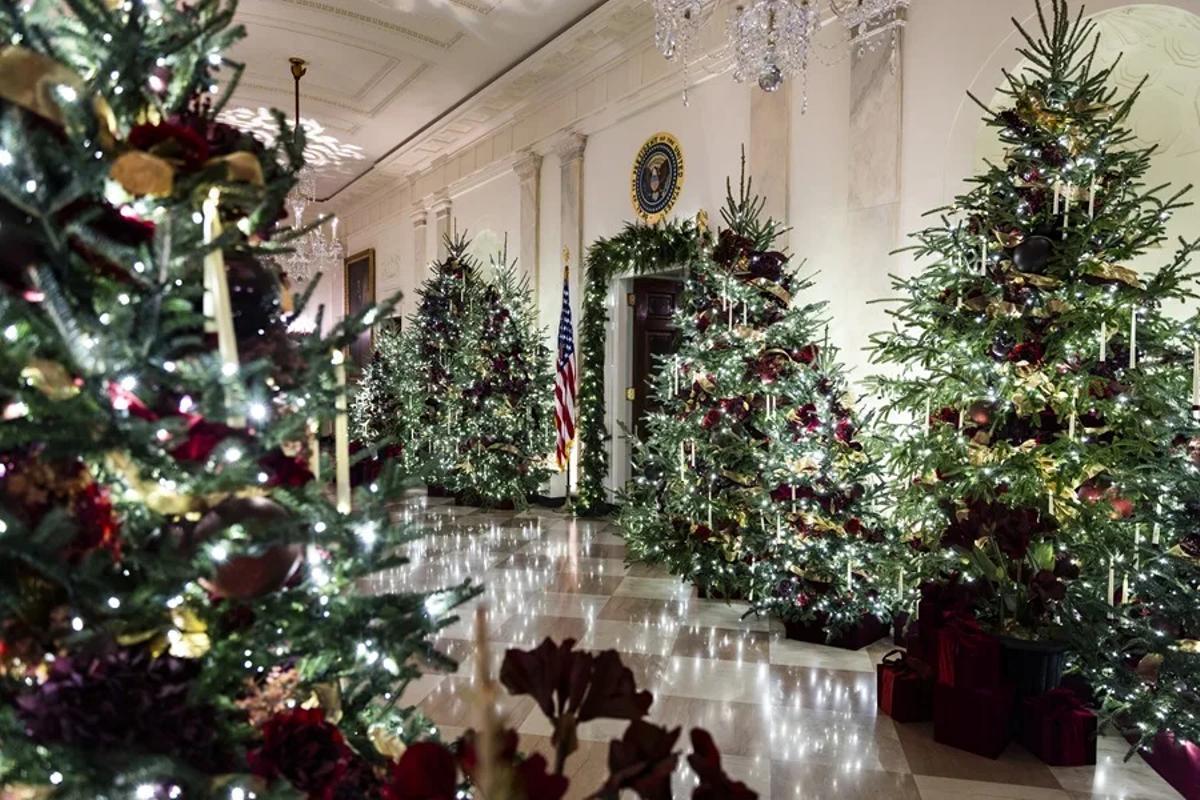 Árboles de Navidad expuestos en el vestíbulo central de la Casa Blanca, en Washington.