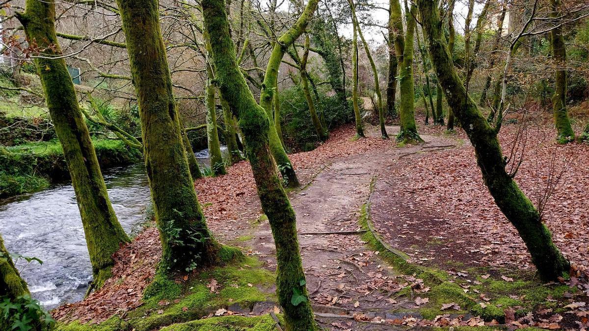 El paseo del río Sarela, una zona muy frecuentada por los compostelaos estos días de ola de calor