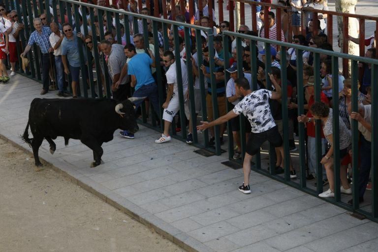 Encierro urbano en Fuentesaúco.