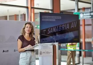 El tramo de la A-11 entre San Martín del Pedroso y la frontera entre Zamora y Portugal será prioritario