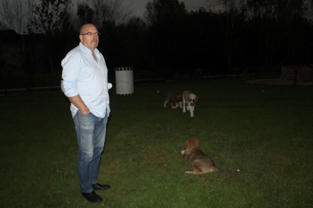 Animales desorientados en el Parque de la Vida de Valdés