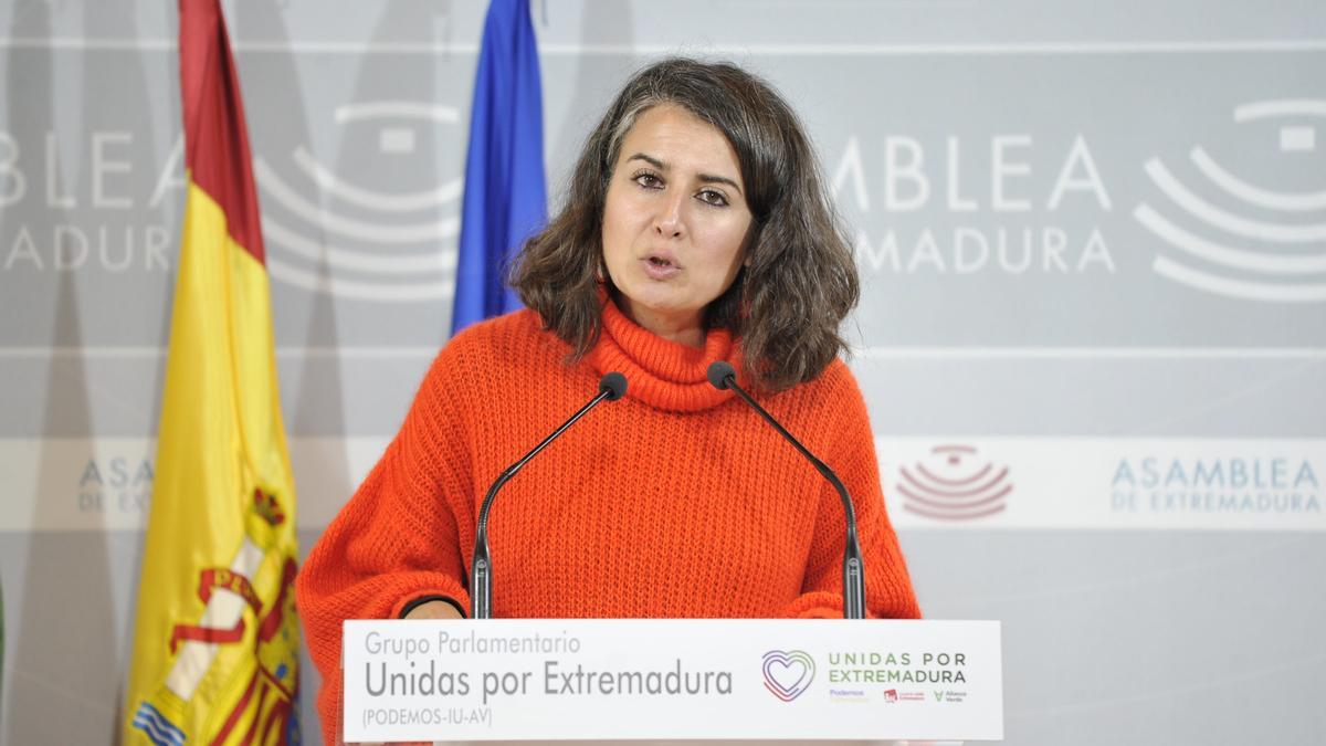 Irene de Miguel, portavoz de Unidas Podemos.