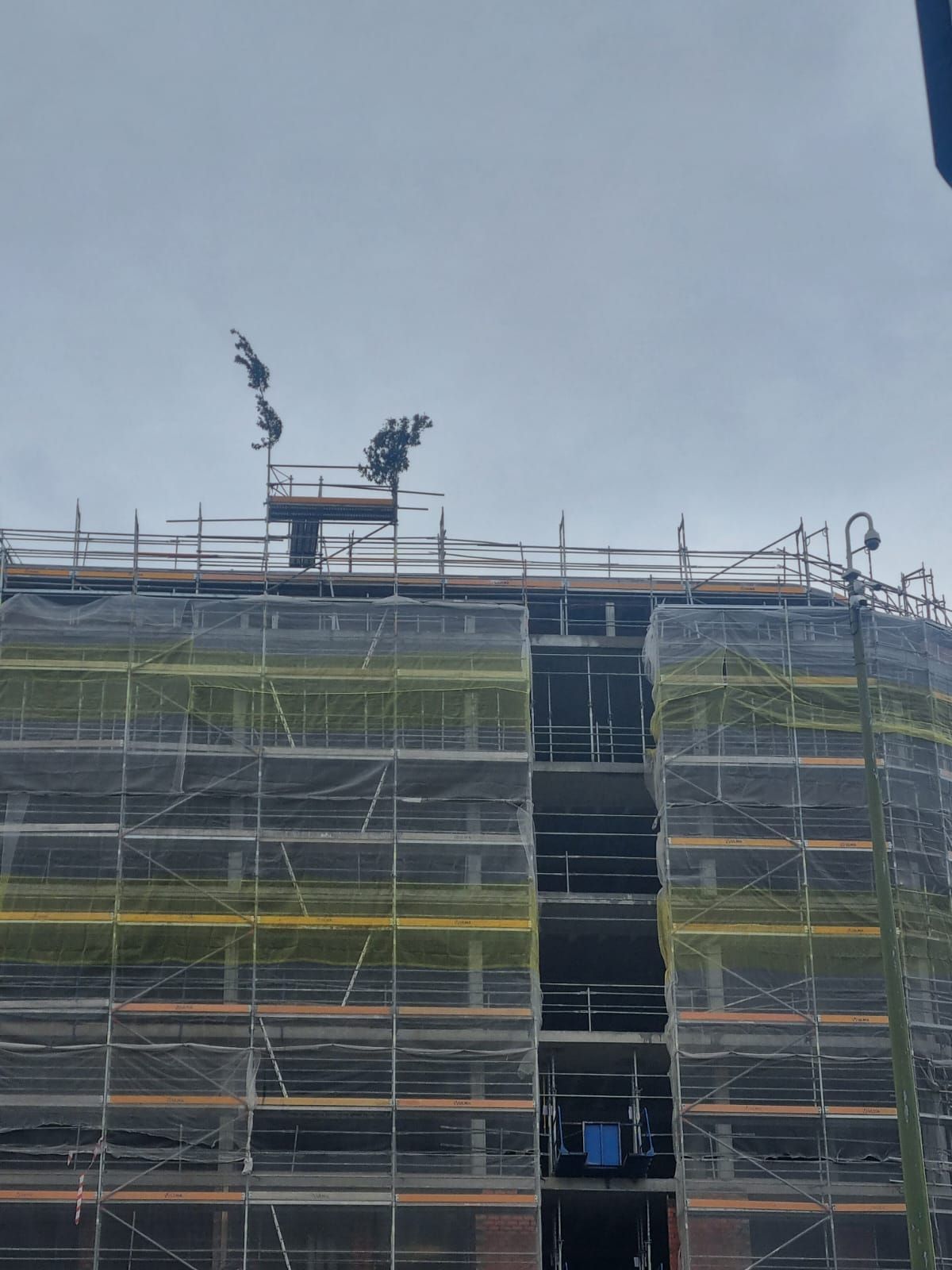 Obra de Nozar en la calle Montevideo, con 'El Ramo', este martes .