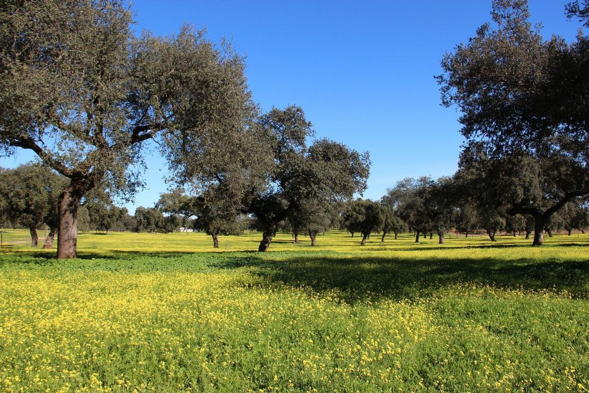 100.000 millones para restaurar espacios naturales en la UE