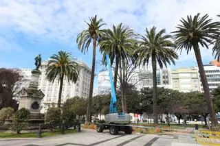 El Concello de A Coruña trata de salvar las 70 palmeras de los jardines de Méndez Núñez con un nuevo tratamiento contra el picudo a partir del martes