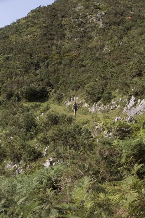 Las rutas por Asturias: las foces del río Pendón