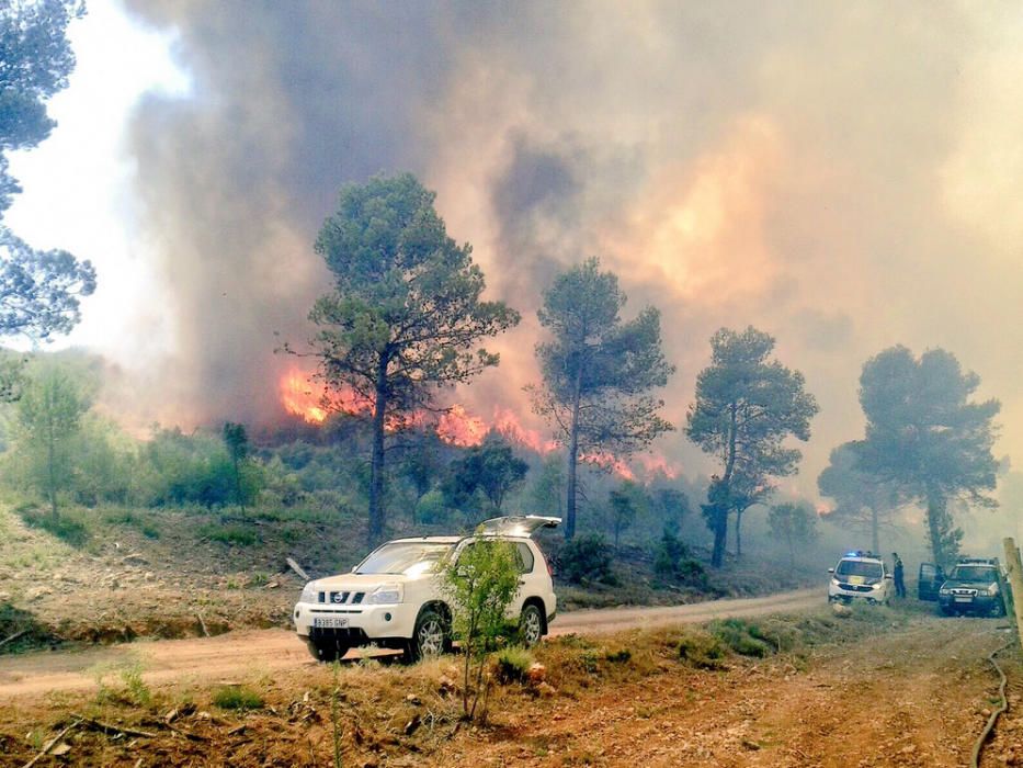 Incendio forestal en Bocairent