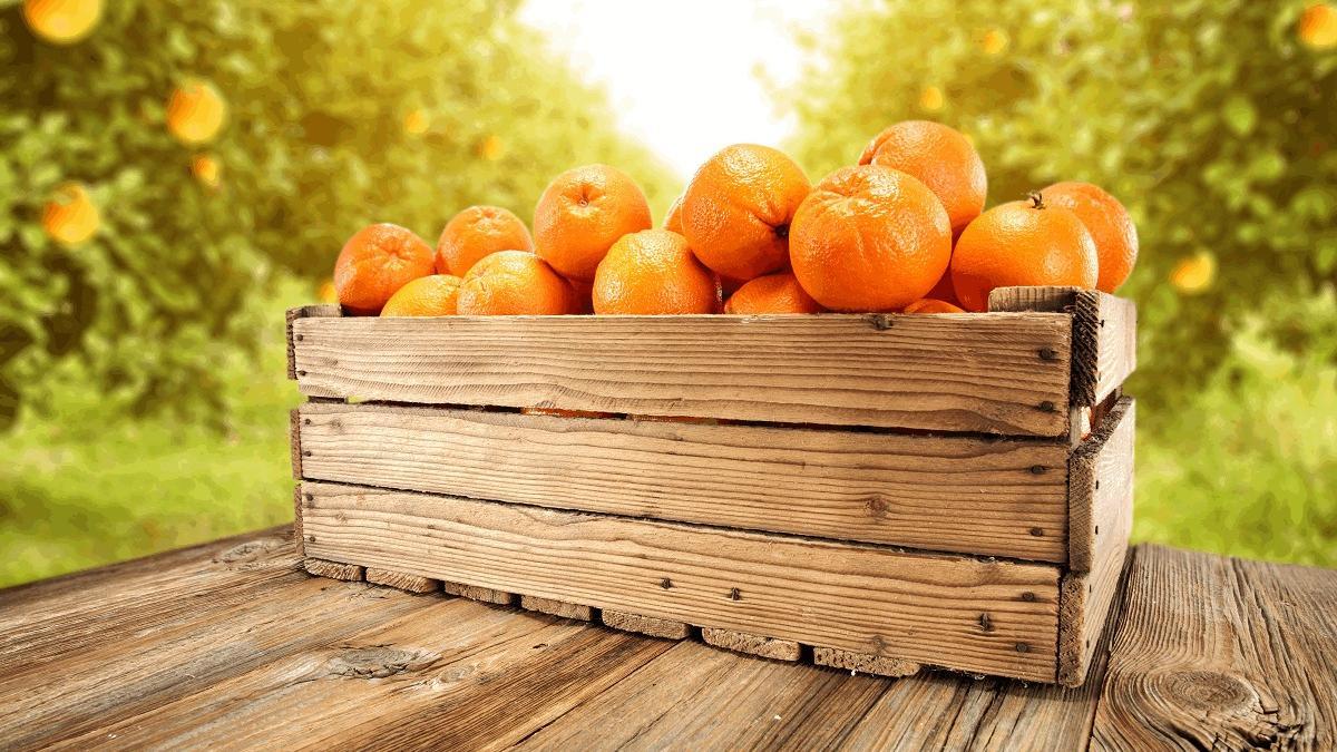 La campaña 'Naranja de Andalucía' quiere difundir sus valores nutricionales.