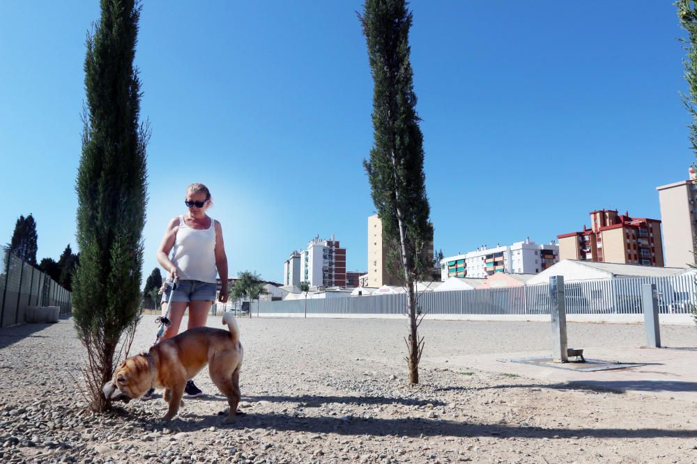 El parque canino sobre la mayor fosa común de la Guerra Civil