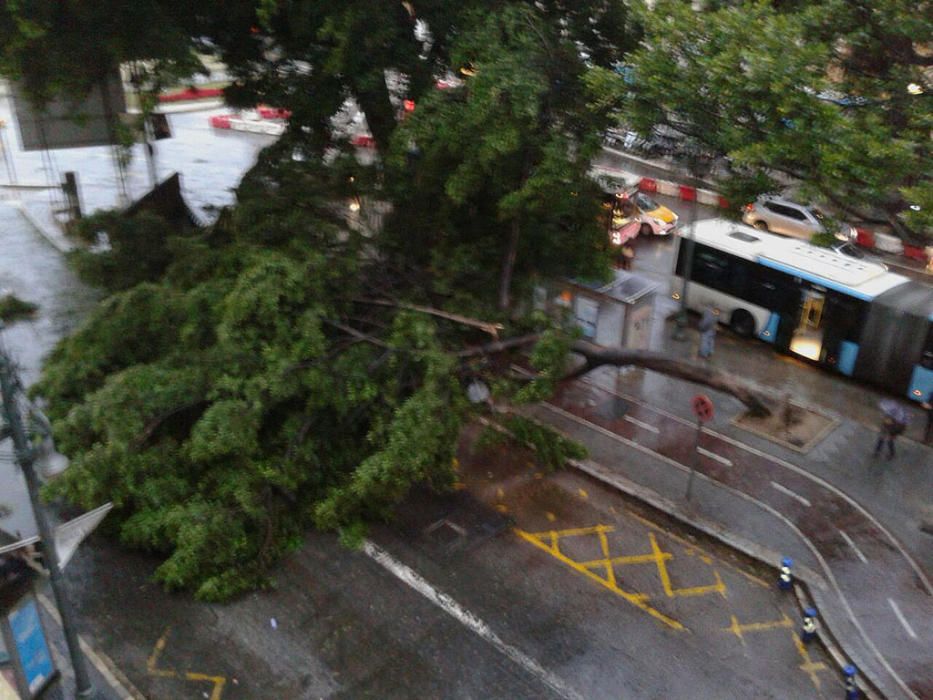 Las incidencias de la borrasca Ana en Málaga