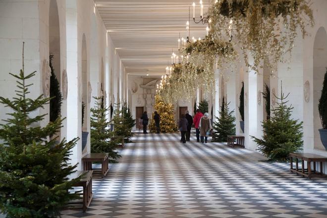 Chenonceau, Loira