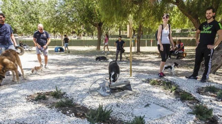 Elda es una de las ciudades con más excrementos de perros de la zona