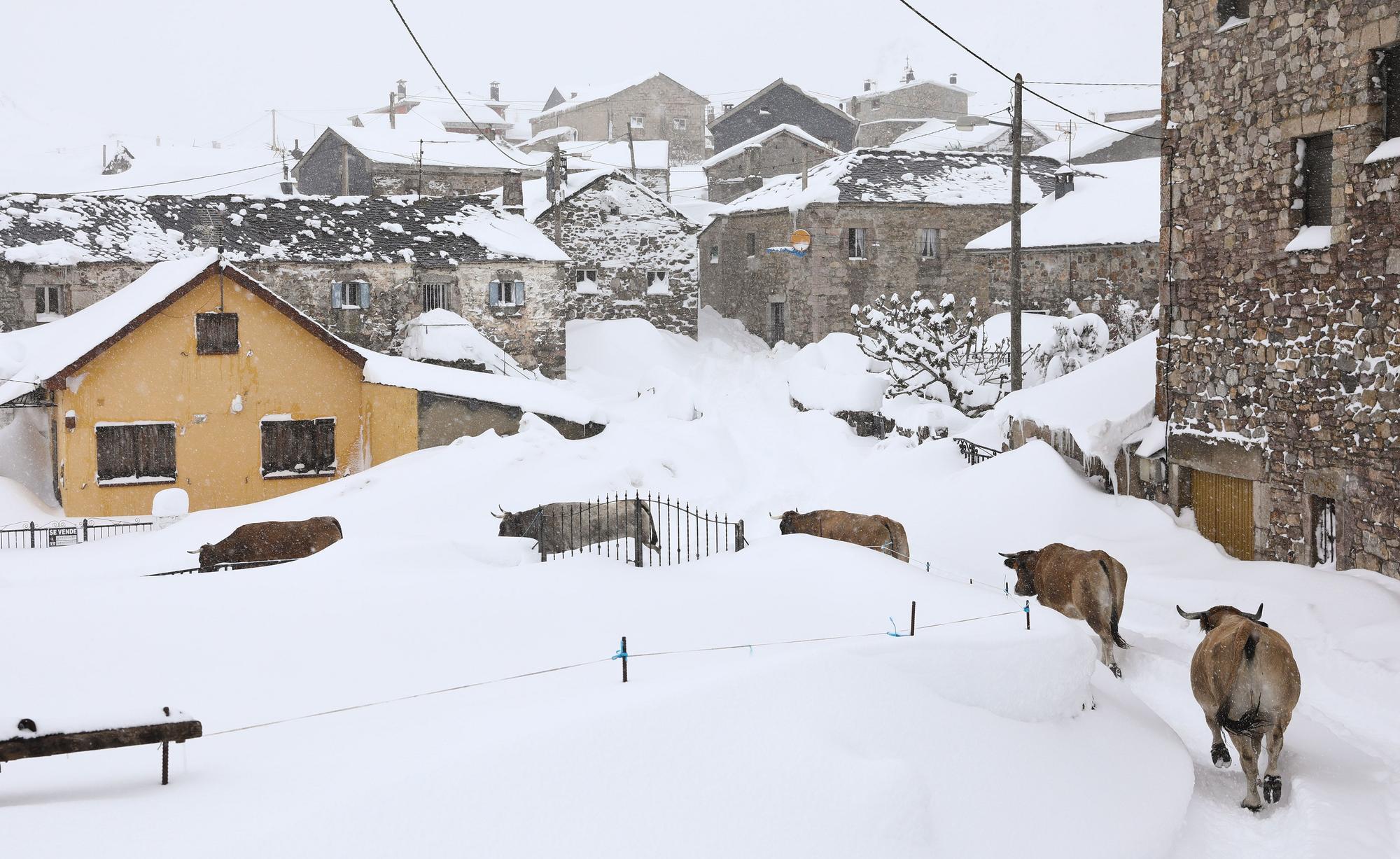 El Puerto de Somiedo, bajo la nevadona “de noviembre a marzo”