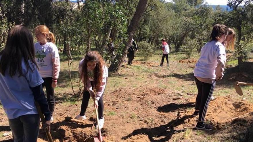 Els estudiants, plantant arbres ahir al Mas del Vent.