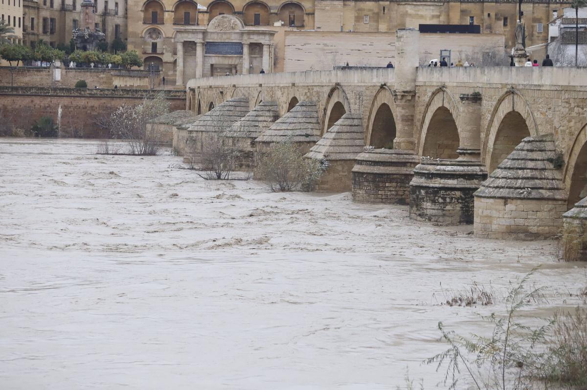 El cauce del Guadalquivir en el Puente Romano.