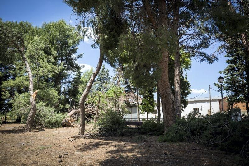 Efectos de la tormenta en Longares