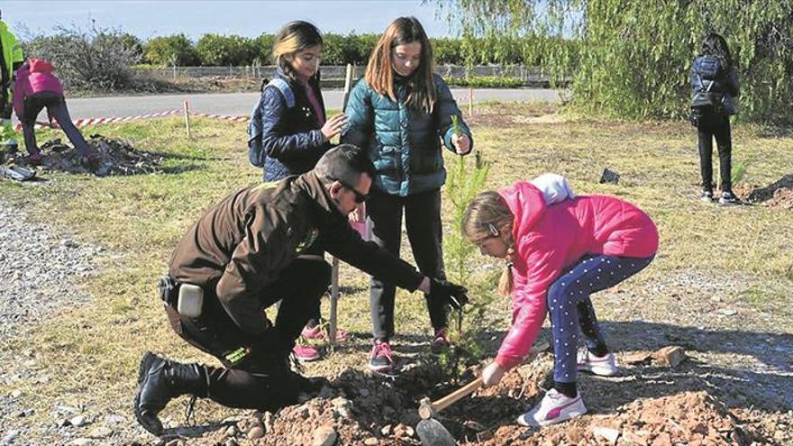 Plantar arbres al Millars per millorar el seu entorn