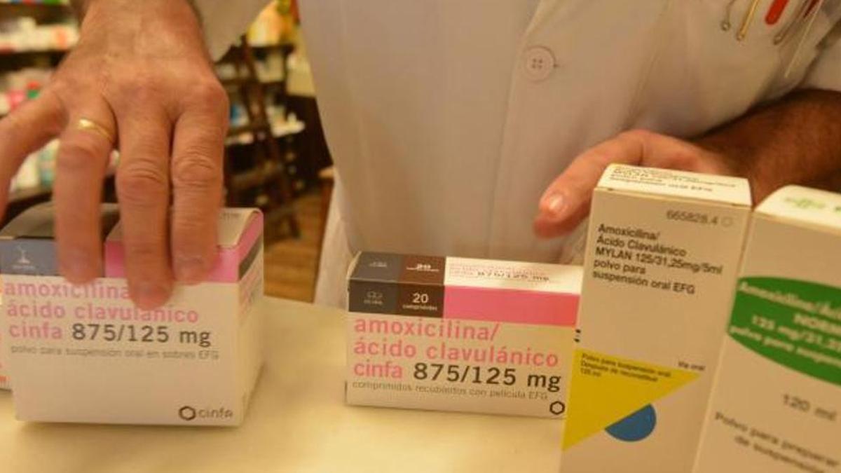 Varios antibióticos en una farmacia de Pontevedra.