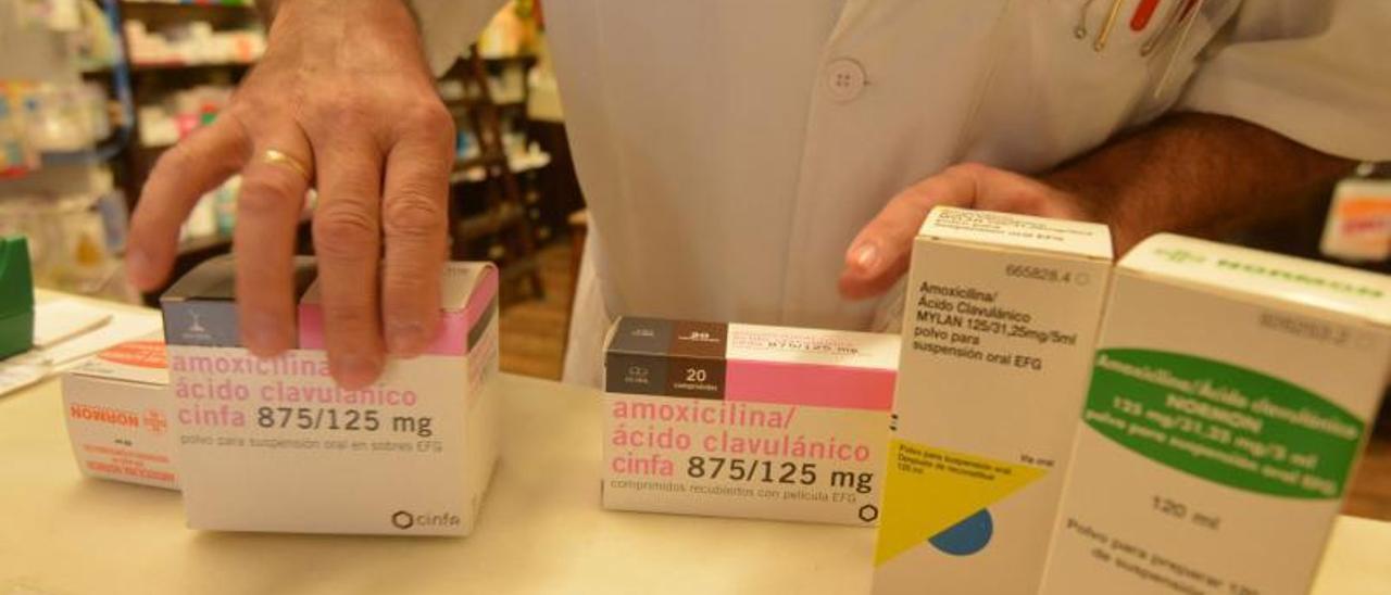 Varios antibióticos en una farmacia de Pontevedra.