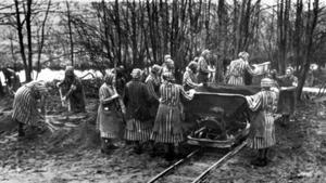 Presas de Ravensbrück trabajando en la ampliación del campo en 1940.