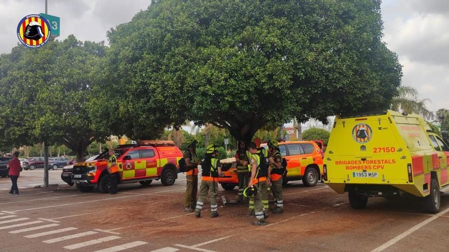Hallado muerto el vecino de Aldaia desaparecido