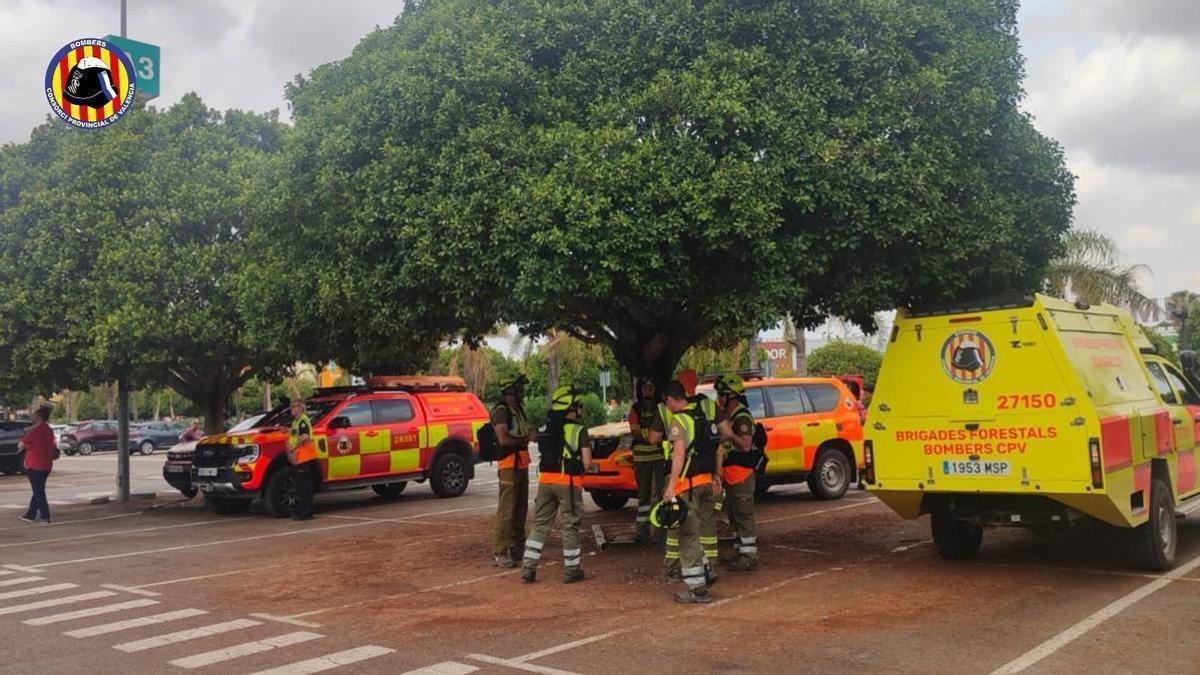 El dispositivo de búsqueda de los Bomberos.