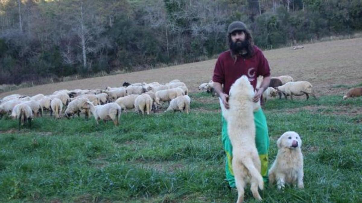 プラ・デ・レスタニーで羊飼いが自分の群れを買って移生を維持する
