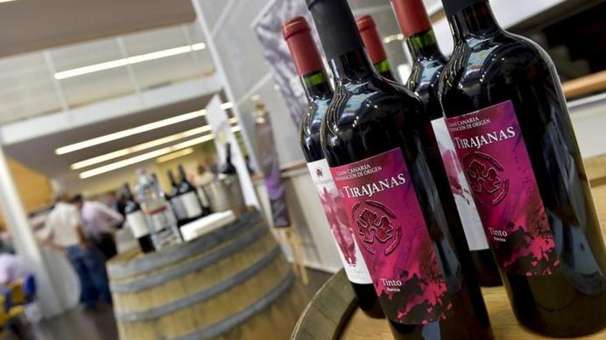 Descorche de vinos de Gran Canaria en el Cabildo