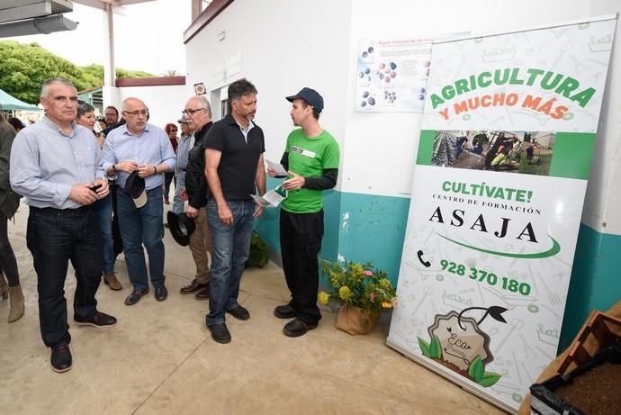 Feria Ecológica de Gran Canaria