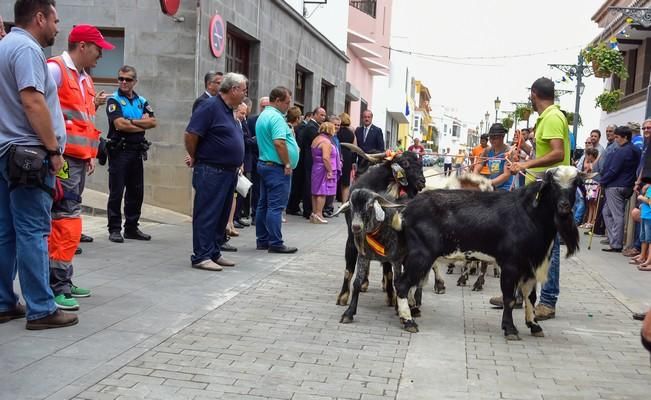 Fiestas de San ROQUE en Firgas