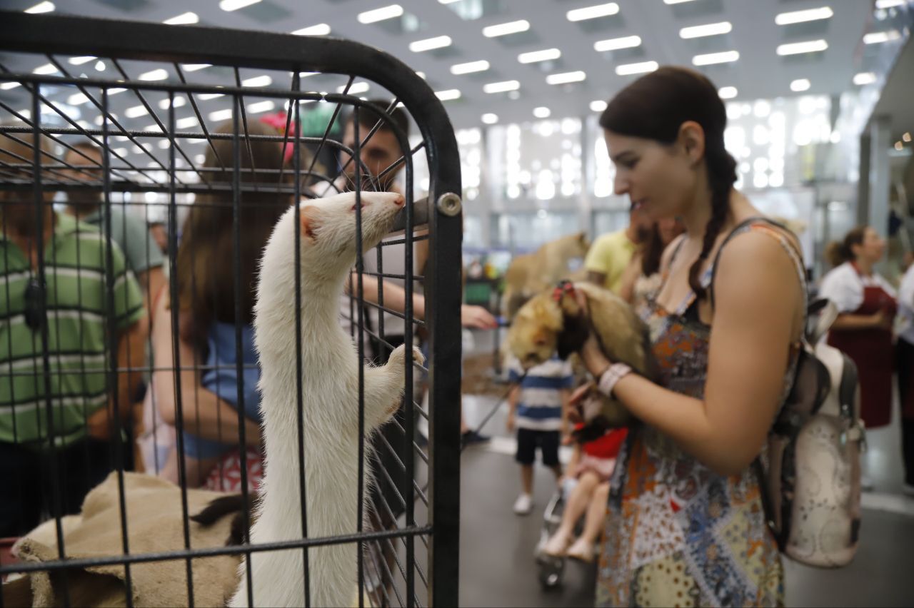 La feria Intercaza 2025, en imágenes