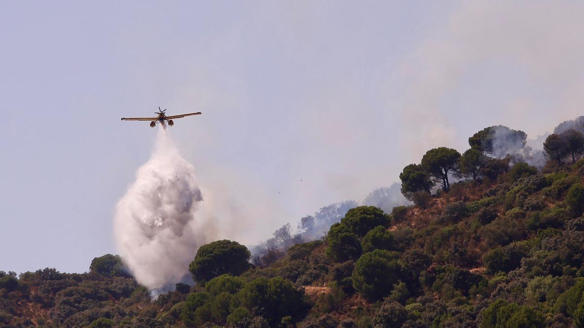 Incendio forestal en Cerro Muriano