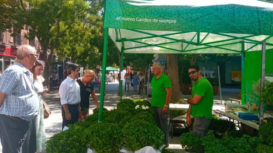 El alcalde de Huesca visita uno de los tres puestos de venta de albahaca, en Huesca.