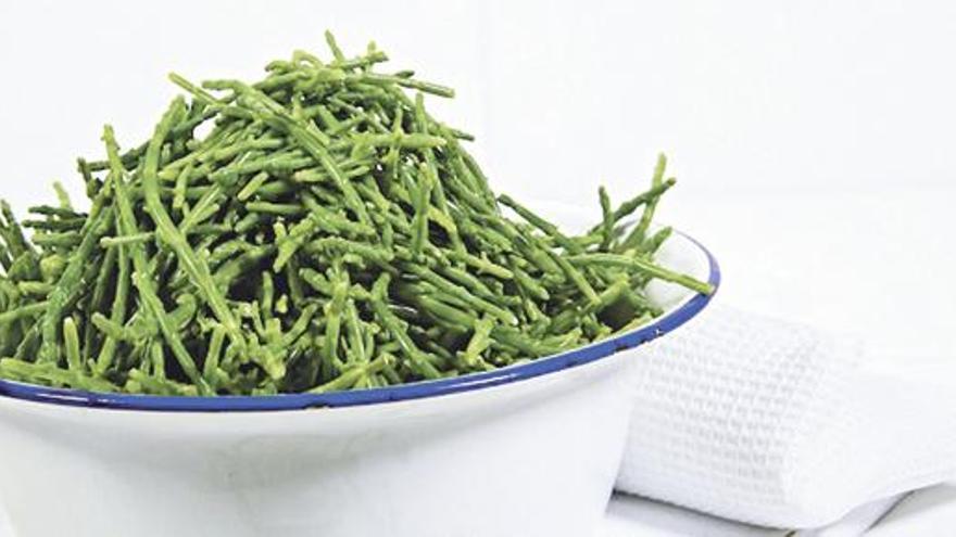 Salicornia, auch Meerspargel genannt, ist in immer mehr spanischen Restaurants auf der Karte zu finden