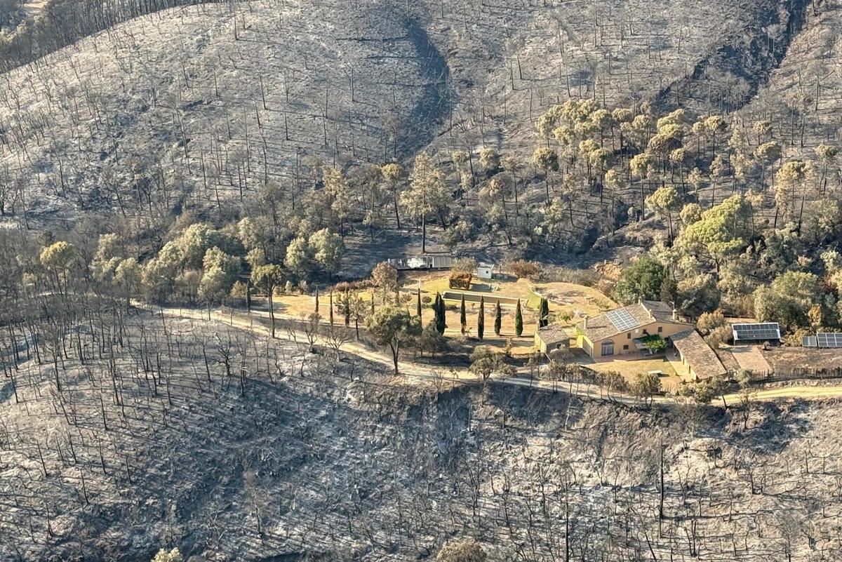 Les Gavarrres, després de l'incendi