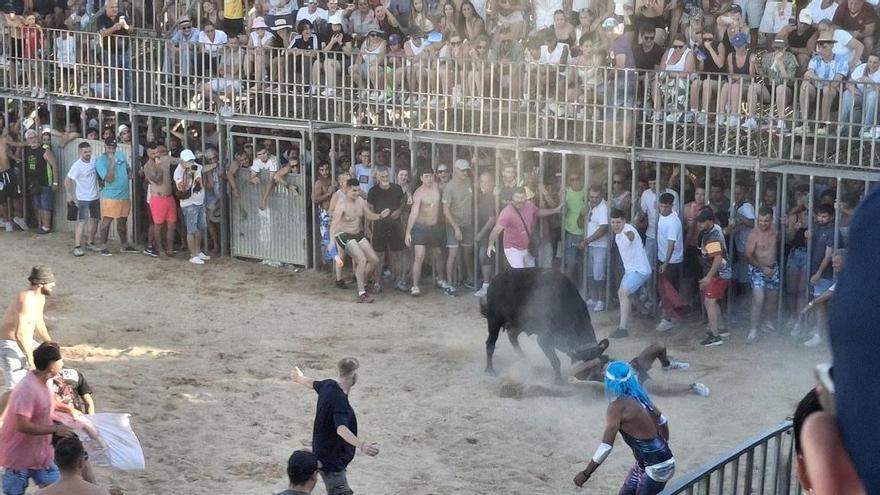 Corneado de gravedad en la región anal en los "bous a la mar" de Dénia