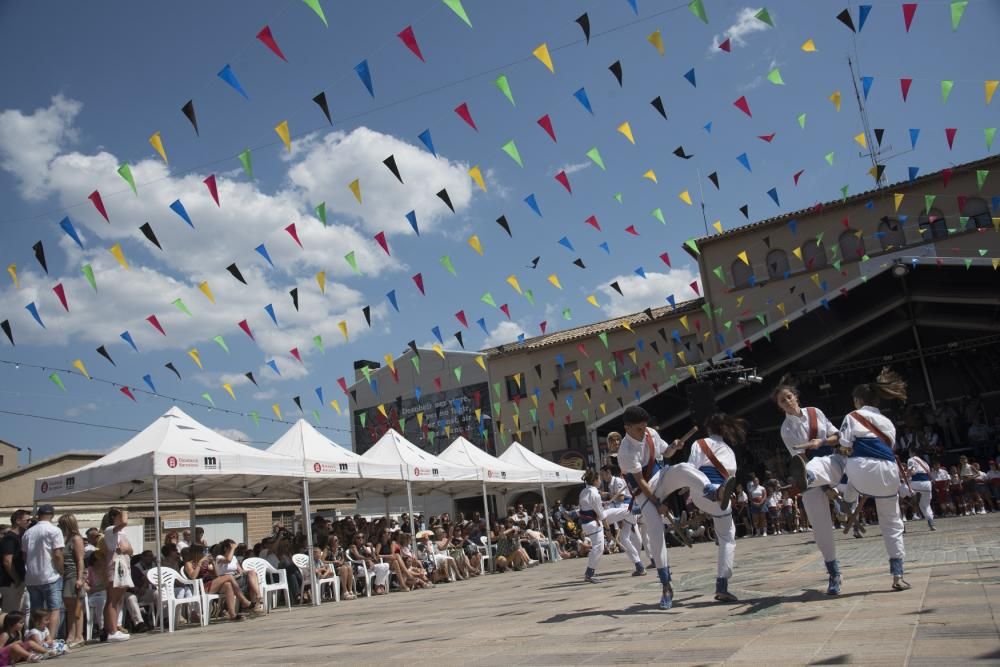 Festa Major de Navàs