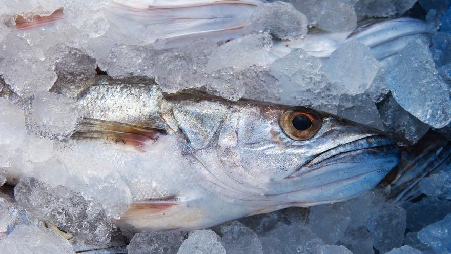 Alerta sanitaria: detectan anisakis en un pescado que iba a venderse en España