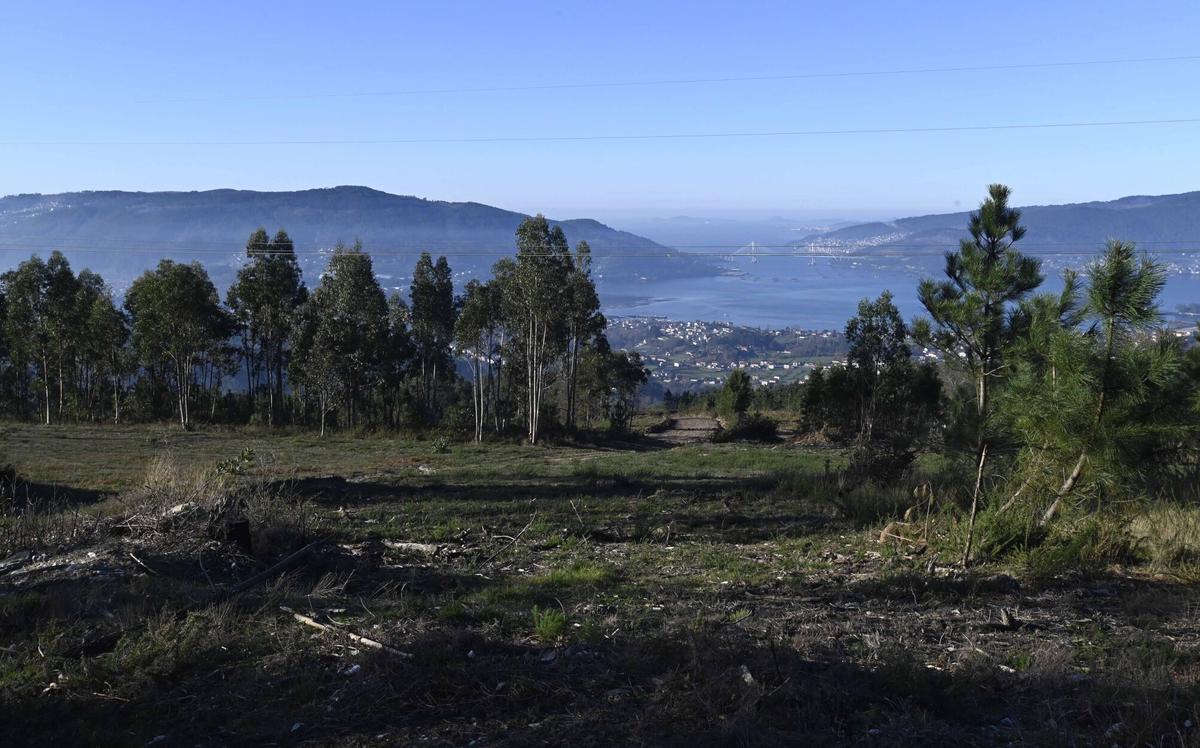 Alvaro Pino recorre en bicicleta parte del recorrido de la XI edición de A Gran Bikedada. Tramo de la subida a Monte Espiño en Amoedo. Bikedada 2025