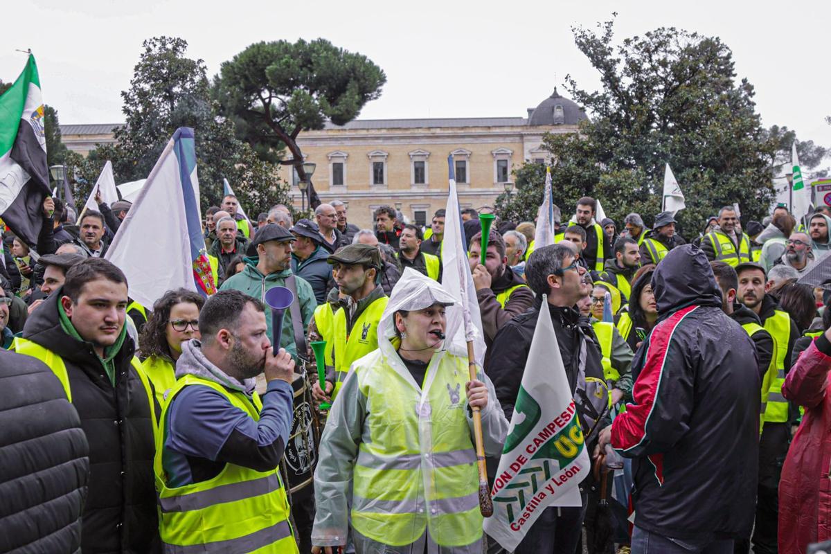 Protesta de los agricultores y ganaderos gallegos en Madrid