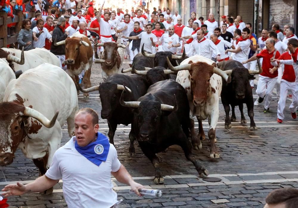 Los toros de Jandilla protagonizan el cuarto ...