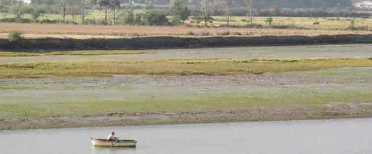 Estrada plantea modificar los límites de la reserva de la ría de Villaviciosa