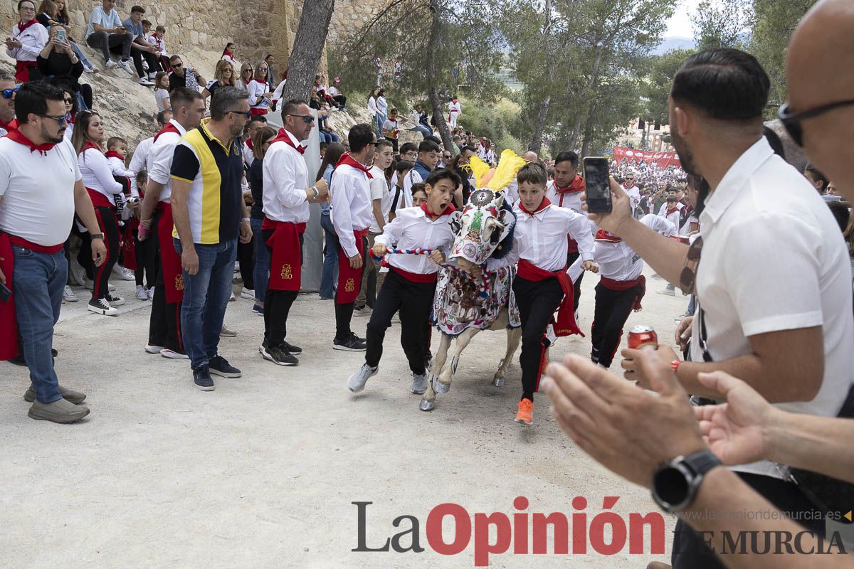 Fiestas de Caravaca | Desfile infantil del Bando de los Caballos del Vino