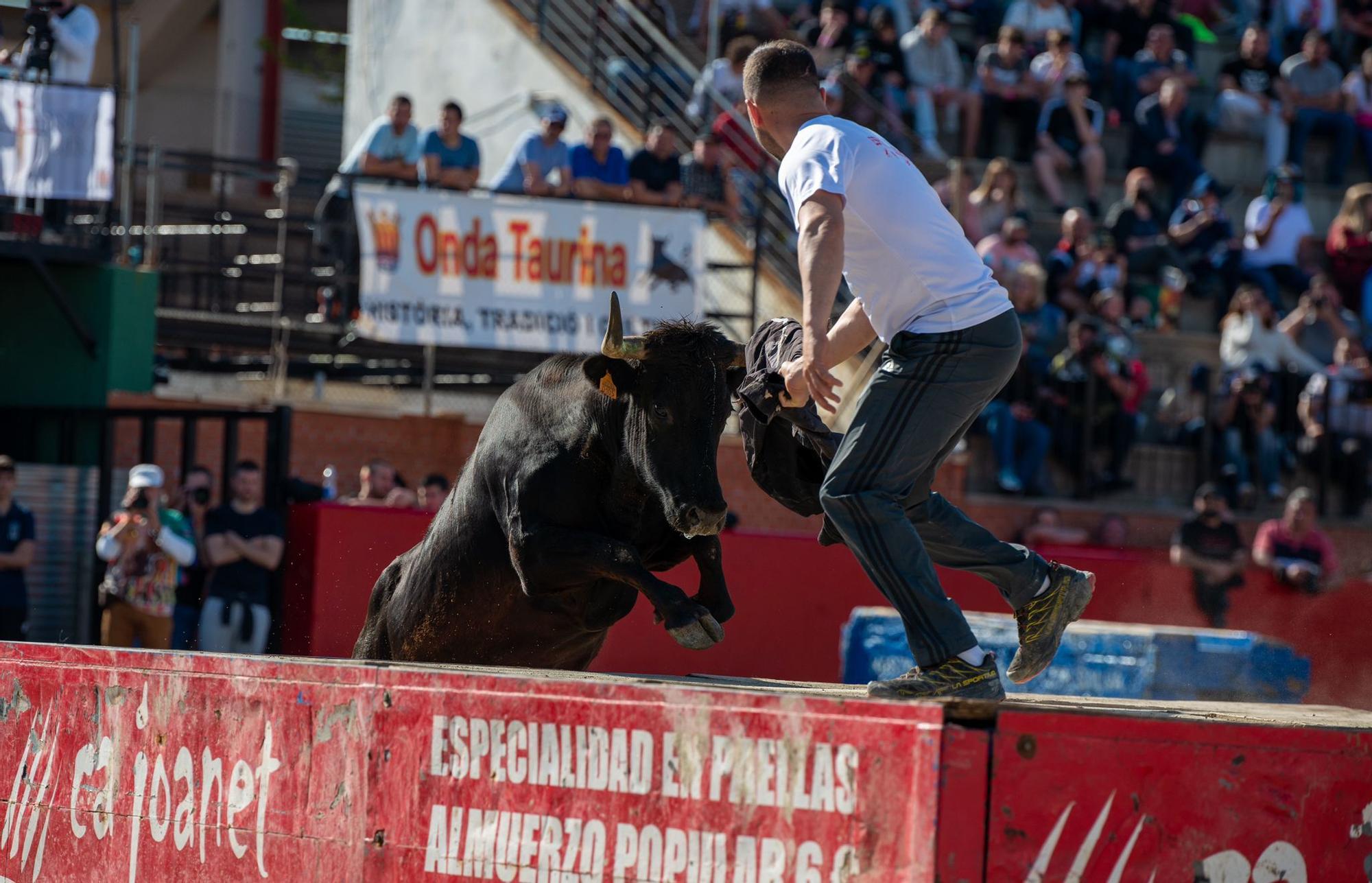 Primera jornada del concurso de ganaderías de la Pascua Taurina de Onda