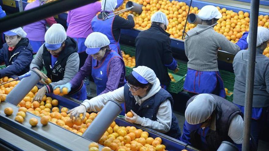 4.000 empresas venden fuera y consolidan a Castellón como territorio exportador