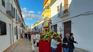 Proyectan recrear la entrada de Sant Vicent Ferrer en Algímia d'Alfara