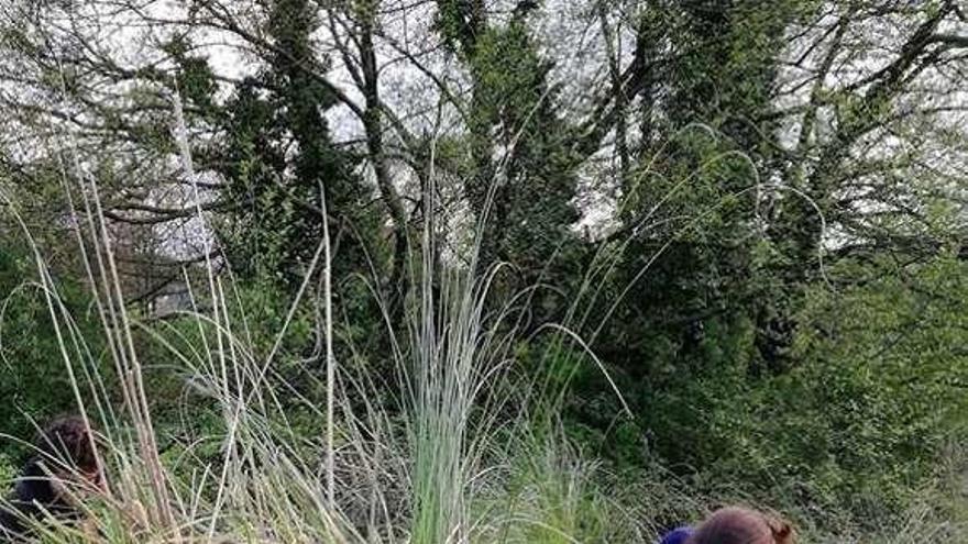 Algunos de los alumnos participantes en el proyecto, en su primer trabajo de campo contra los plumeros de la Pampa.