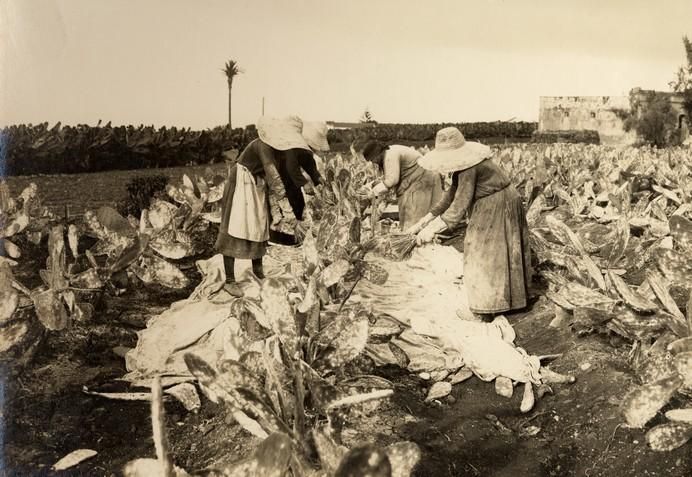 Exposición de 150 años de historia de Arucas