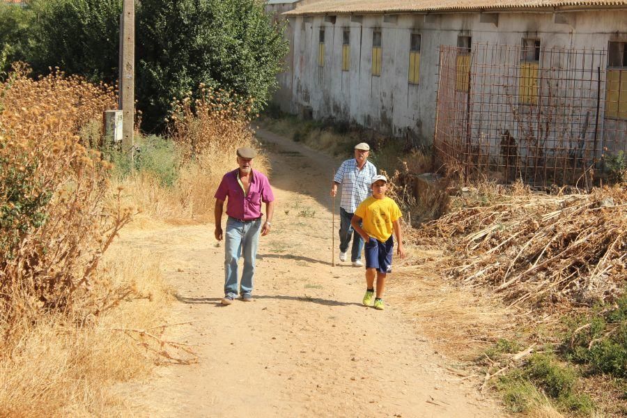 Fiestas en Zamora: Encierro en Argujillo