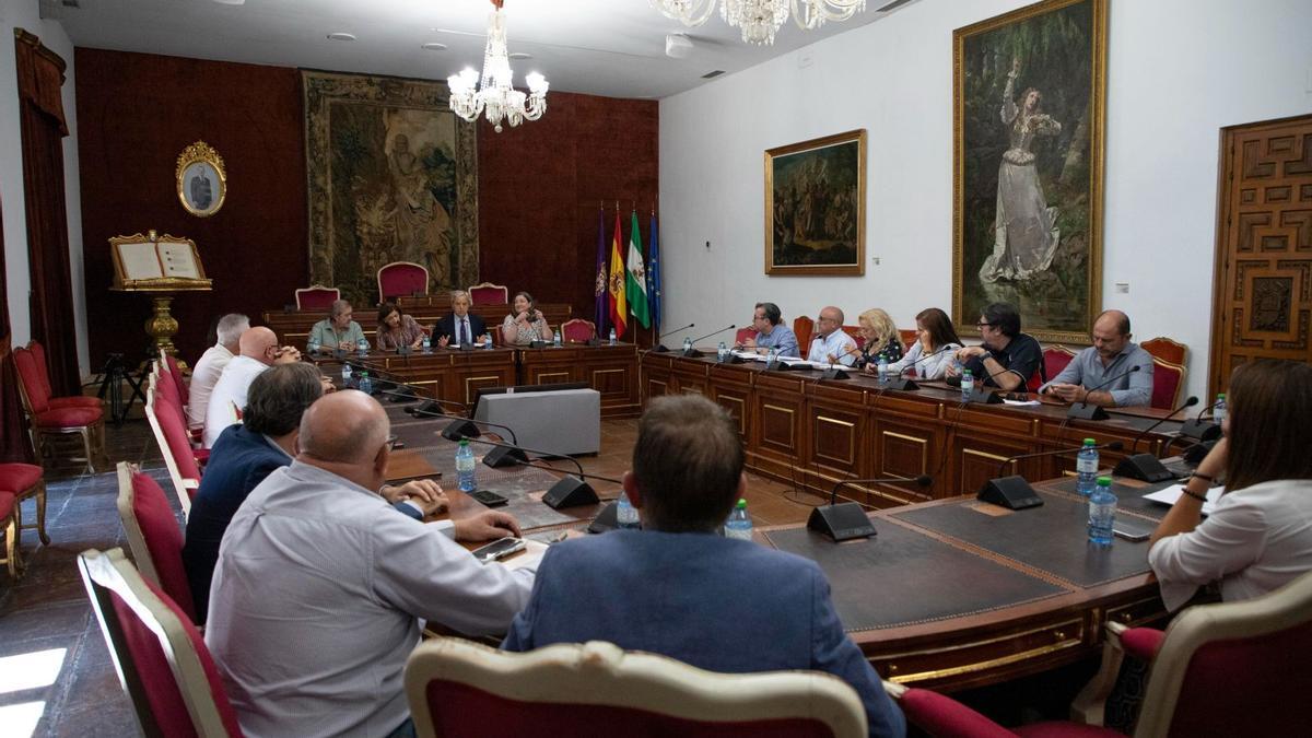Una de las reuniones celebradas en la Diputación de Córdoba para informar sobre el virus del Nilo.